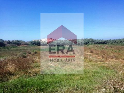 3,520 sq.M Plot of land in Ferrel - Peniche. Good location. With ocean view. *The information provided is for information purposes only, not binding, and does not exempt inquiring the mediator. * Energy Rating: Exempt #ref:150180233