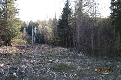 Commercial land at the entrance to the village of Saint-Donat on Rue Principale. Saint-Donat is expanding rapidly. Great opportunity to establish yourself in a space with great visibility. Neighborhood Patrick Morin, Home Hardware, Petro Canada, IGA,...