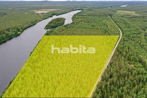 The coastline-land (14 hec.) for residential development. Facinating beachplots (8) at slope of hill by the arctic riverside of ‘Kitinen’ in Sodankylä Municipality, Finland. The building site of 14 hectares is situated in the middle of Lapland, about...