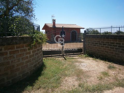 LAZIO - VITERBO - VIGNANELLO INDEPENDENT HOUSE WITH 70 OLIVE PLANTS Pretty country house with attention to detail. The 50 m2 property is located on a 4000 m2 plot with 70 young olive trees. The land is completely flat and totally fenced, there is als...