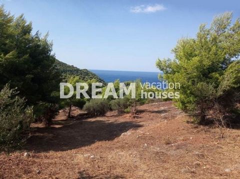 Description Keri, Agricultural Land For Sale, 4.769 sq.m., Price: 160.000€. Πασχαλίδης Γιώργος Additional Information Excellent plot of 4769sqm in Keri of Zakynthos overlooking the village of Keri and the sea of Agalas. It has easy access and is in a...