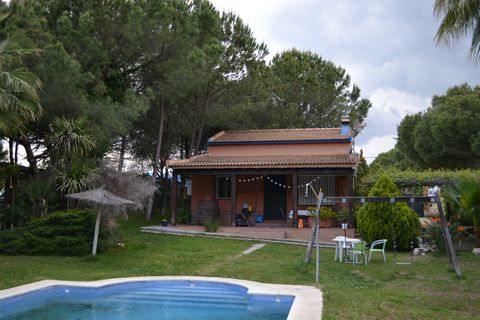 This is a pretty little three bedroom country house located near the town of Hinojos, 40 kilometres from Sevilla city and 40 kilometres from Huelva city.This authentic rural cottage style house has a large swimming pool and BBQ area, plus a wooden ca...