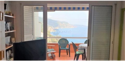Apartment for sale in Cala Salions next to Tossa de Mar. Imagine living on a postcard, with the Mediterranean blue as a frame. This is what we will have in this three bedroom apartment, one single and two double. The living room, with fireplace, open...
