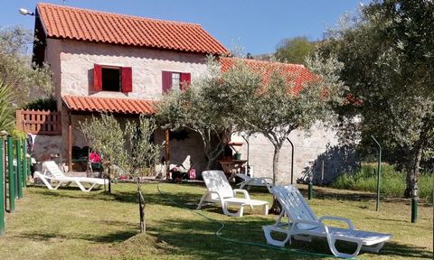 Ferme située à Quinta da Cascalha dans les vallées de la municipalité de Seia dans la Serra da Estrela. Il dispose d’un terrain d’environ 13000m², de deux maisons en pierre de granit. La villa principale est en excellent état, entièrement récupérée, ...