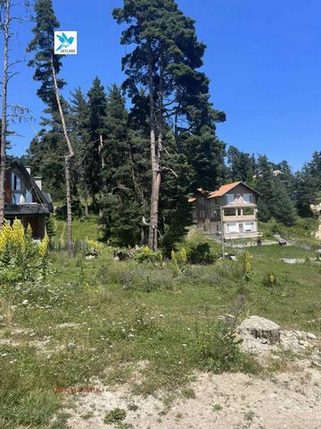 Sky Lark Agency offers an exclusive plot of land in the village of Yundola. Located at the fork for Belovo and Starina. The property has electricity and water and access to a main road. The plot has an area of 400 sq. The agency offers for sale and /...