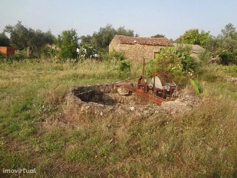Land with excellent access. Good cultivation land and fertile soil. Fruit trees and eucalyptus. Electricity nearby and three wells. * Land with excellent access. Good farmland and fertile soil. Fruit trees and eucalyptus. Electricity nearby and three...