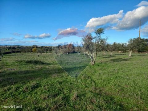 Good afternoon, Mr. Farmer. I want to present you with an excellent opportunity to acquire a rustic plot of land located in Vale de Cavaleiros in the parish of Monte da Pedra. The land has an area of 2,050 hectares, a very significant area with regar...