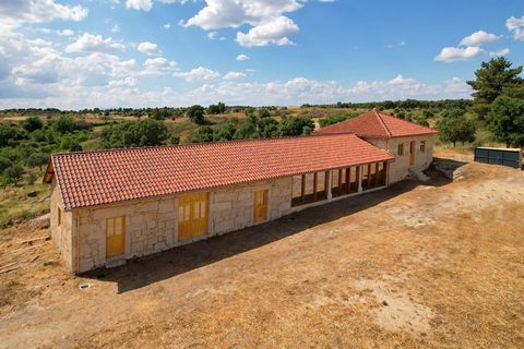 Stunning and private granite house with 243m2, with new rustic roof, land of 20,500m2, stream running at the end, borehole and dozens of olive trees. This impressive building with fabulous views over Monsanto is perfect for local accommodation, as it...