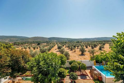 This bright and cosy Alentejo house is traditionally decorated with blue outlines. Its almost 160 m2 are divided into 2 floors and comprise 2 living rooms, 1 bathroom, 2 bedrooms and 1 suite, 1 kitchen and 1 garage. Its small, leafy garden, overlooki...