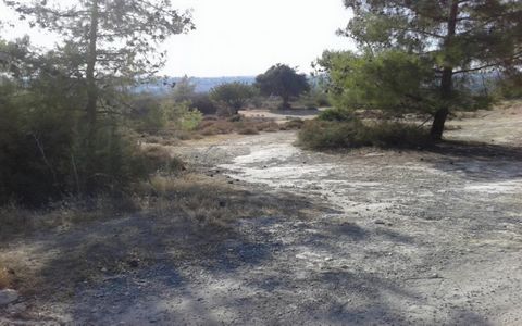 The property consists of a large residential zoned field of 18.331 sqm located in Souni-Zanakia Village, Limassol District. The asset has an irregular shape, relatively flat surface and is accessed from a registered dirt road. The property offers dis...
