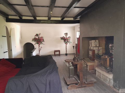 photo no. 10