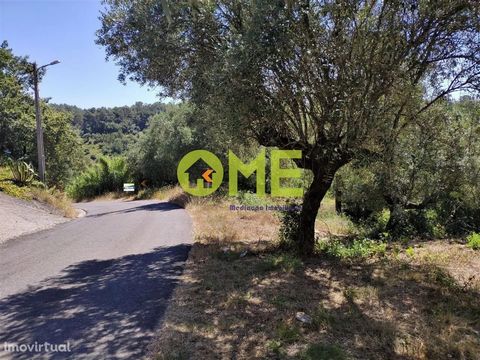 Land with 780m2 with approved project for two semi-detached houses of typology T3, at the entrance of the city and with excellent sun exposure. Composed of basement for garage, ground floor and first floor for housing, making a gross construction are...