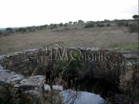 Terreno di 1,475 ha, composto da ulivi, fichi, seminativi e due pozzi, situato a Nisa. Buon accesso.