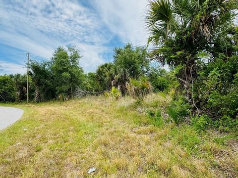 Beautiful lot with electric, near canal just northeast of Murdock. Don't miss out on your opportunity to buy this lot and build in Port Charlotte, FL. This lot offers plenty of privacy, yet only minutes away from everything Murdock, Port Charlotte an...