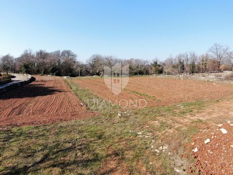 Location: Istarska županija, Tinjan, Tinjan. Central Istria, building plot of 3899m2. The field is flat and all infrastructure is located directly next to the field. The land is located in a quiet location. It is surrounded by family homes and holida...