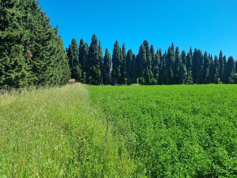 Nouveauté à GRAVESON !! Terrain Agricole de 13201 m², avec un Bâti de 14 m² cadastré comprenant eau et électricité. Terrain équipé d'une serre de 310m². Le réseau d'eau déjà présent sur le terrain est prévu pour alimenter 3 autres serres potentielles...