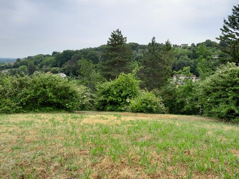 photo no. 16