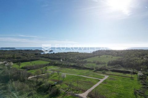 3 km from Poreč, a parceled agricultural plot of square shape is for sale. The land is 700m from the sea and has an access asphalt road. A wide range of possibilities for agricultural or investment needs. We are at your disposal for more... For this ...