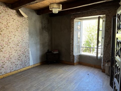 photo no. 8