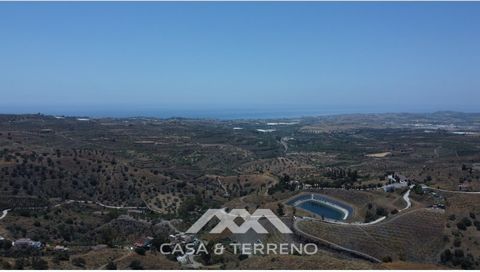 Dit buitengewone pand beslaat in totaal 60.000 m2, waarvan 40.000 m2 al bebouwd is en 20.000 m2 onbenut blijft, klaar voor uw ontwikkeling of verdere landbouwactiviteiten. Het gecultiveerde gebied beschikt over een bloeiende mangoplantage met 3.500 b...