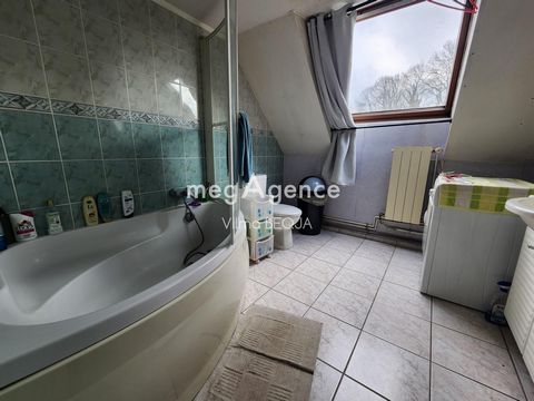 photo no. 11