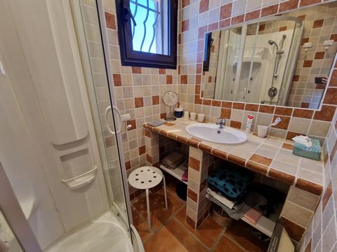photo no. 12