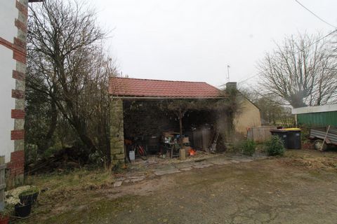 photo no. 9
