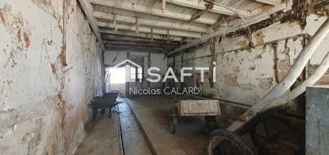 photo no. 5