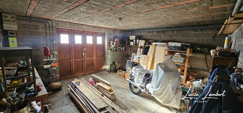 photo no. 14