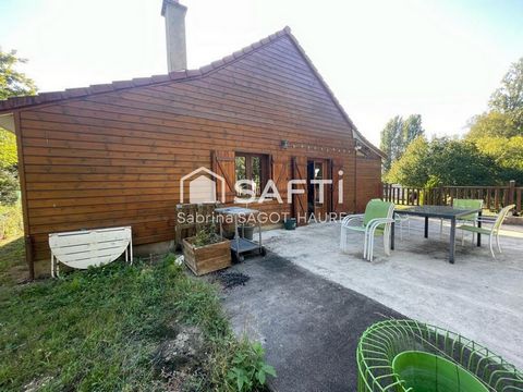 photo no. 11