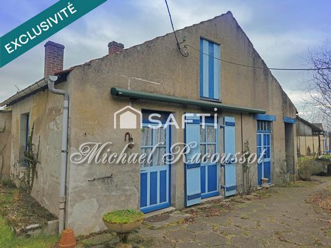 photo no. 10