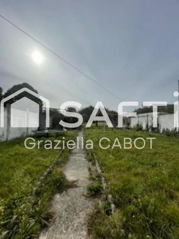 photo no. 17