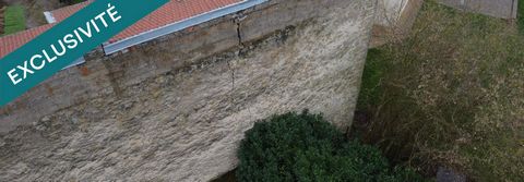 photo no. 11