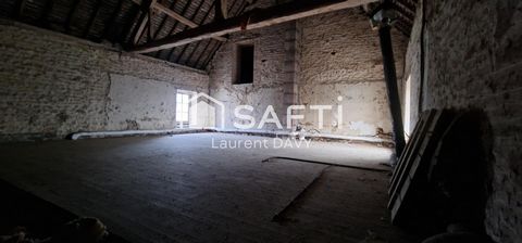 photo no. 10