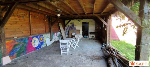 photo no. 4