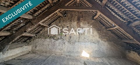 photo no. 15