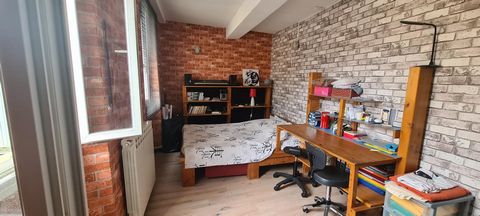photo no. 9