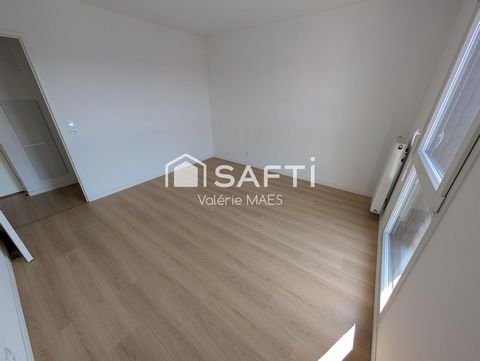 photo no. 12