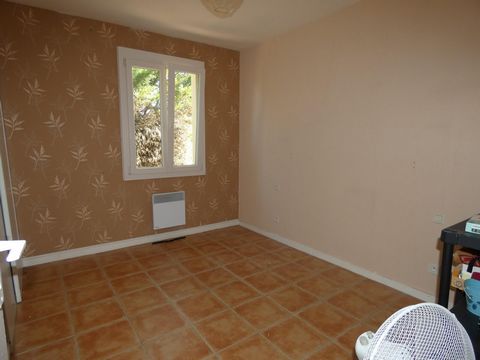 photo no. 6
