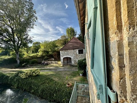 photo no. 19