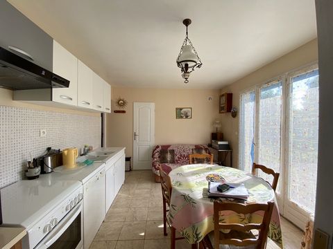 photo no. 16