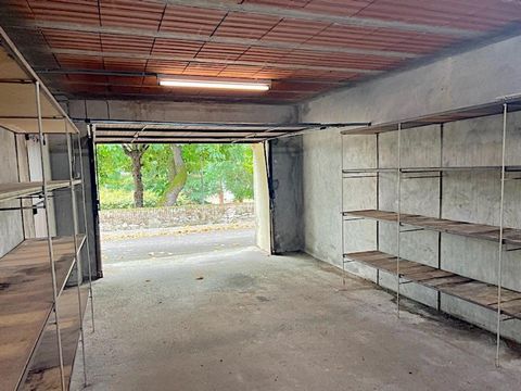 photo no. 10