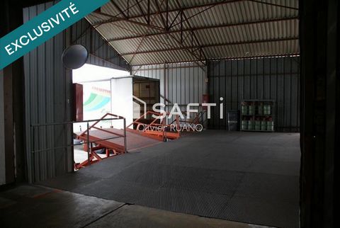 photo no. 10