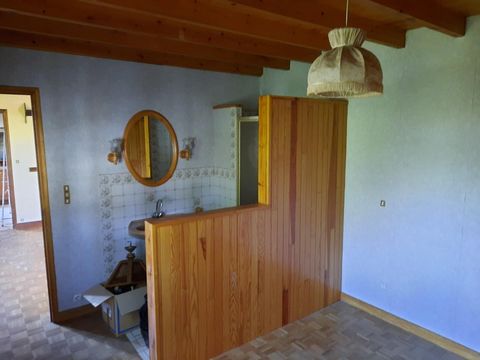 photo no. 12