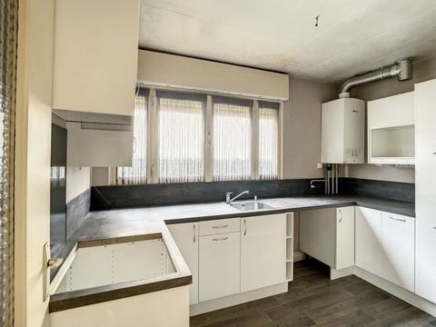 photo no. 2