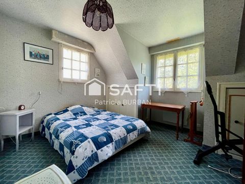 photo no. 7