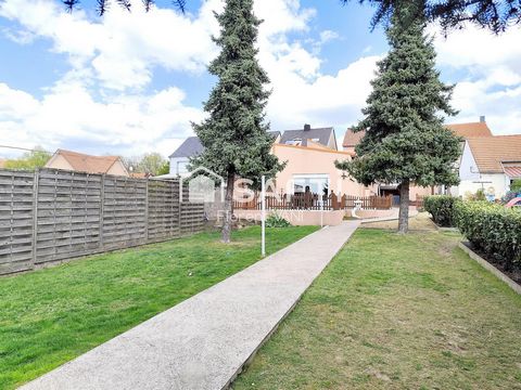 photo no. 16