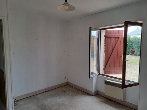 photo no. 8