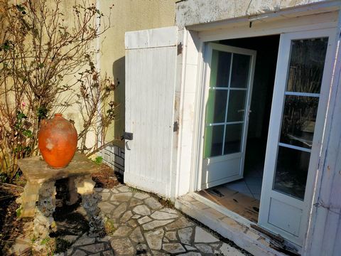 photo no. 10