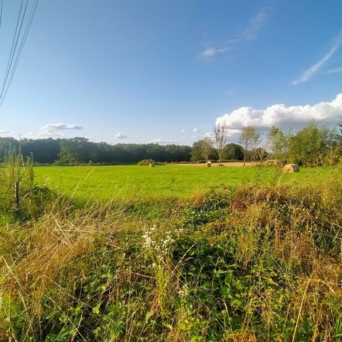 photo no. 1